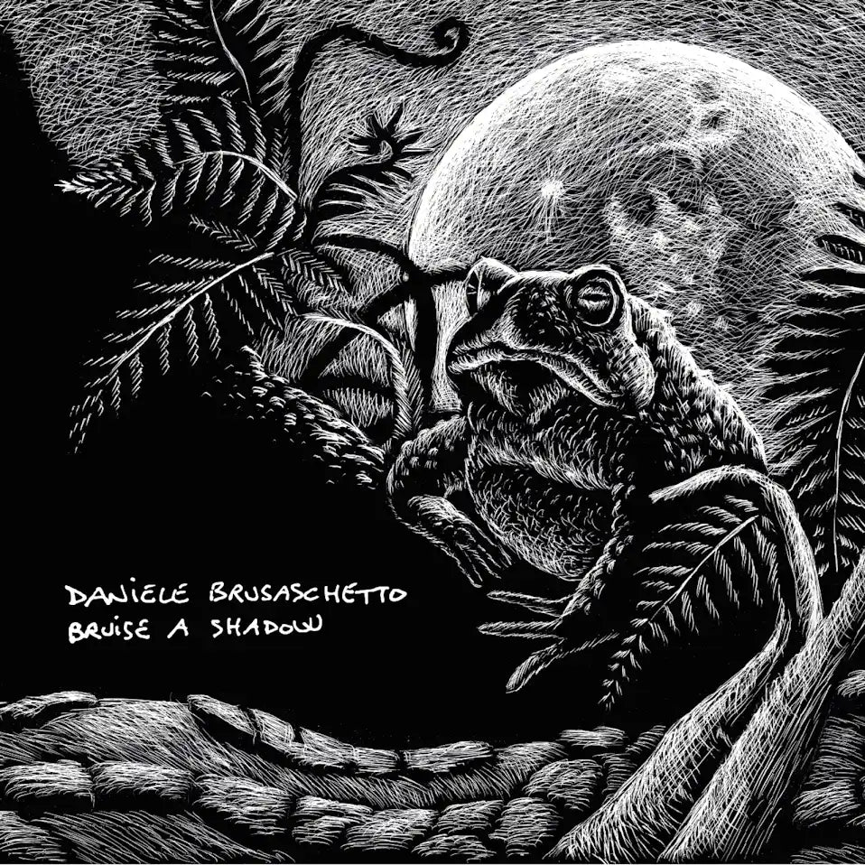 Daniele Brusaschetto- Bruise A Shadow